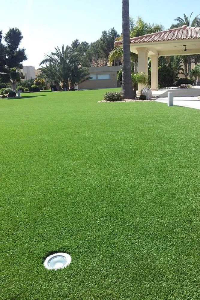 Local lawn mowing service for year-round maintenance across McAllen, TX - Olives Valley