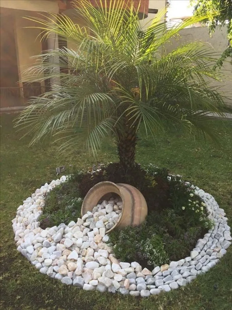 Custom outdoor landscaping in McAllen, TX - Olives Valley