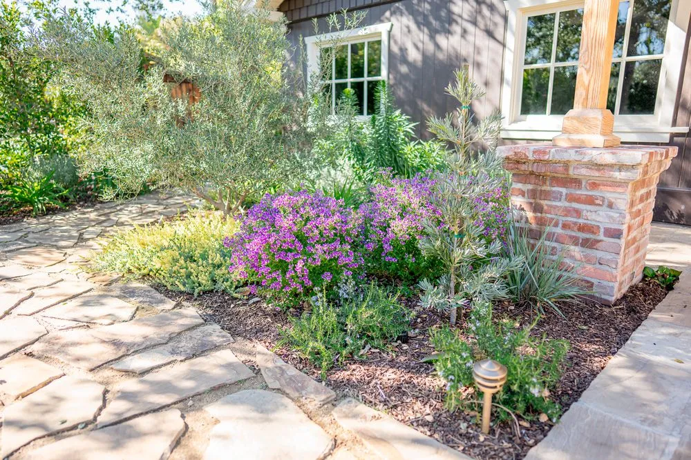 Top-rated residential landscaping experts serving Chatsworth, CA - OliveWood Landcsaping