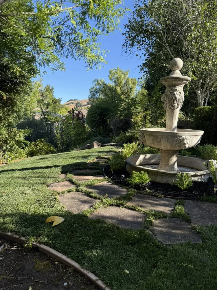 Affordable lawn care service in San Ramon, CA - Olivewood Landscaping and Design