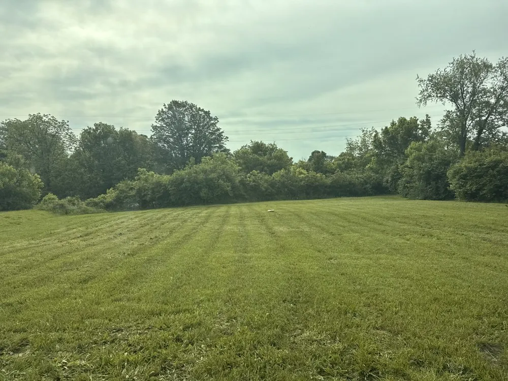 Local yard cleanup service in Independence, KY - Ollie’s Lawn Care