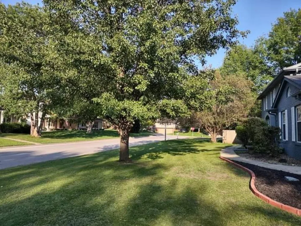 Affordable lawn care service in Omaha, NE by Ollie's Lawn Care