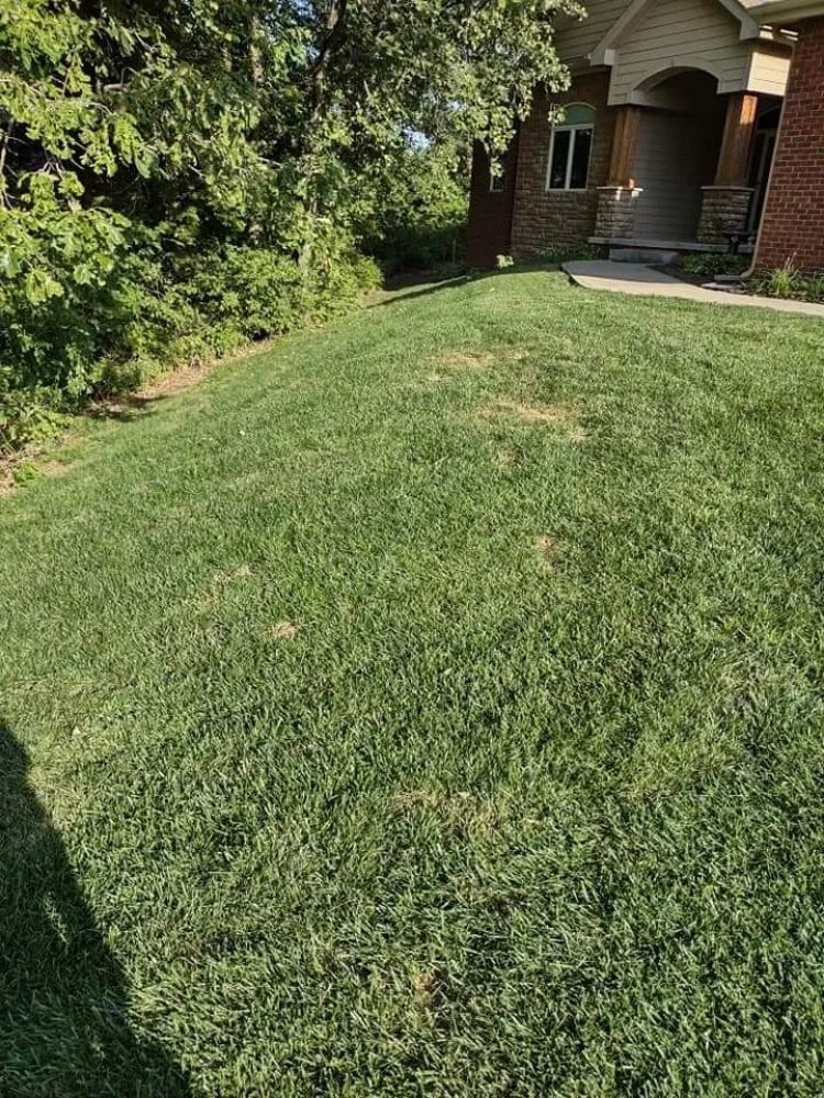 Local residential landscaping for homes across Omaha, NE - Ollie's Lawn Care