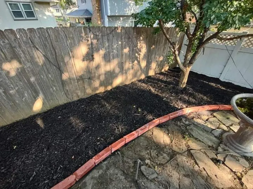 Top-rated yard cleanup service in Omaha, NE - Ollie's Lawn Care