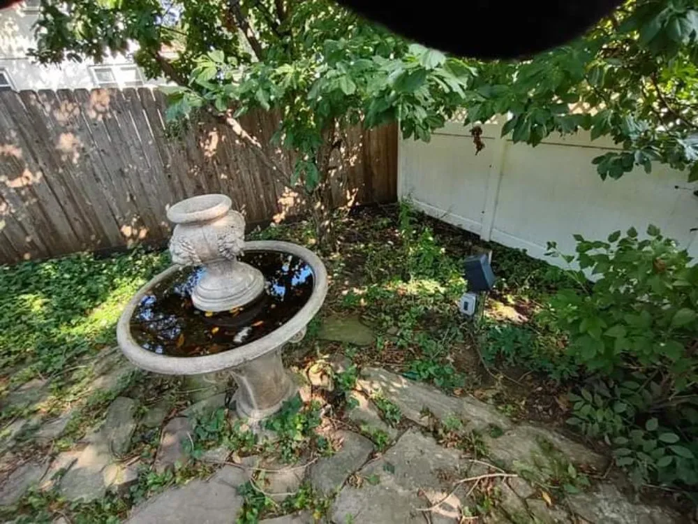 Reliable yard cleanup service experts serving Omaha, NE - Ollie's Lawn Care