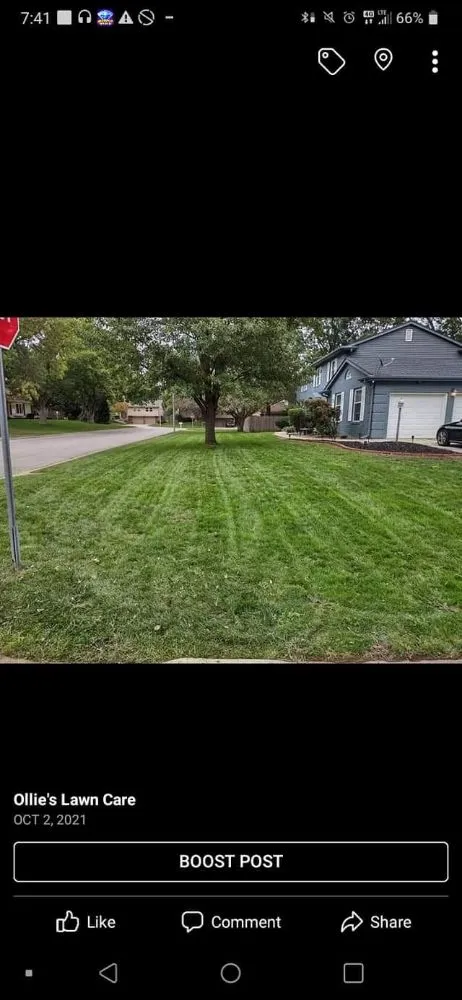 Affordable yard cleanup service near you across Omaha, NE - Ollie's Lawn Care
