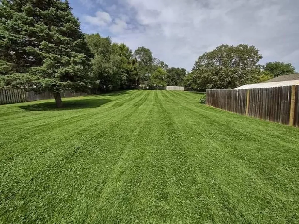 Professional outdoor landscaping in Omaha, NE by Ollie's Lawn Care