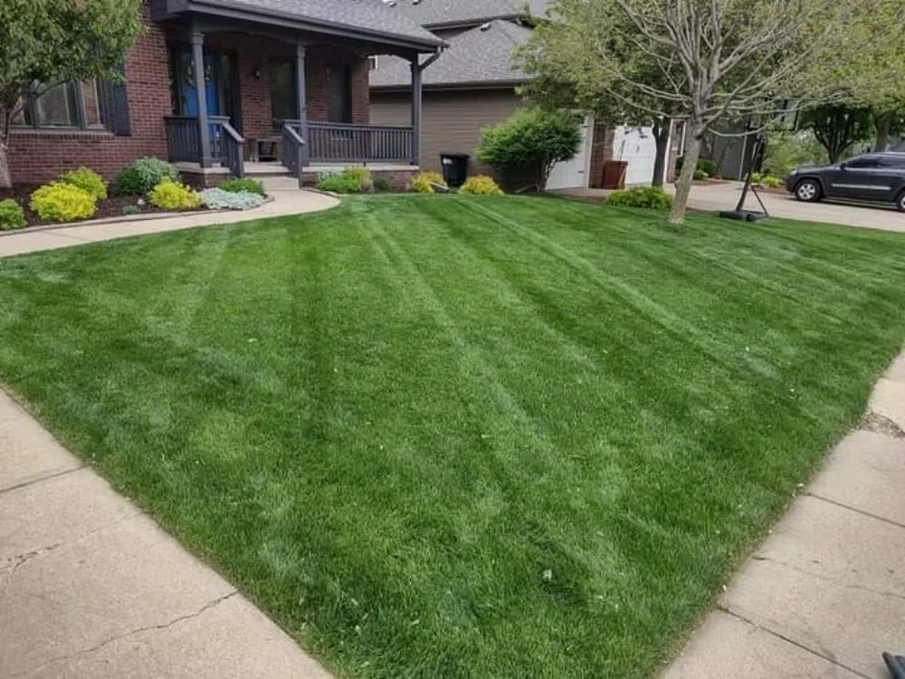 Custom yard cleanup service for year-round maintenance across Omaha, NE - Ollie's Lawn Care