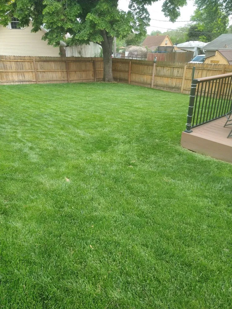 Local lawn care service for year-round maintenance across Omaha, NE - Ollie's Lawn Care