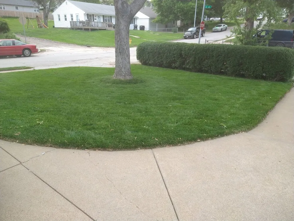 Top-rated yard maintenance near you across Omaha, NE - Ollie's Lawn Care