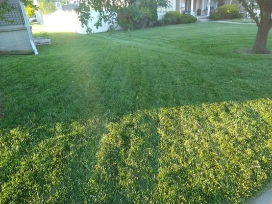 Ollie's Lawn Care Logo