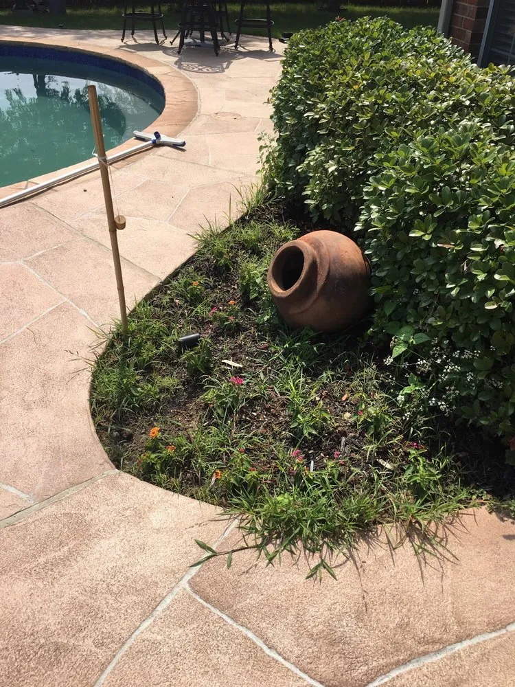 Professional outdoor landscaping in Dallas, TX by Ollie's Mow 4 Your Money Lawn and Pool Serv