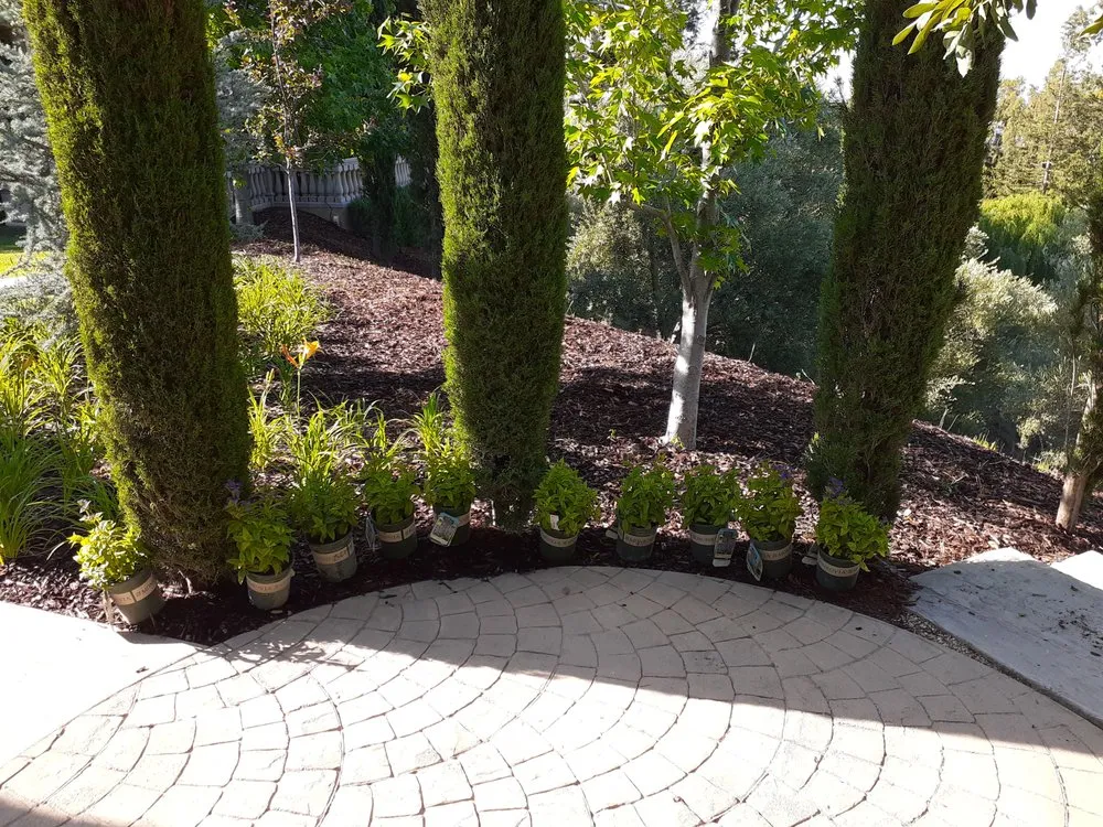 Affordable residential landscaping in Azusa, CA by OLM Landscape Maintenance