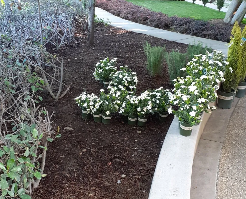 Local residential landscaping in Azusa, CA by OLM Landscape Maintenance