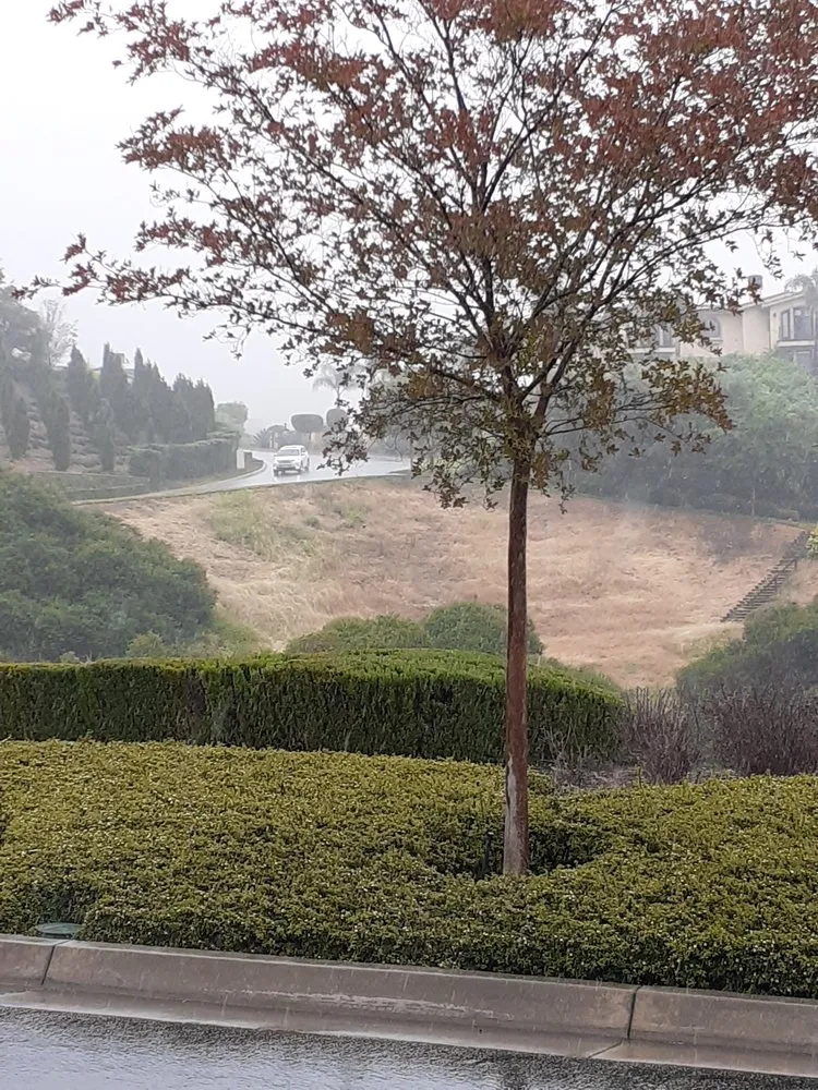 Reliable lawn mowing service for outdoor upgrades across Azusa, CA - OLM Landscape Maintenance