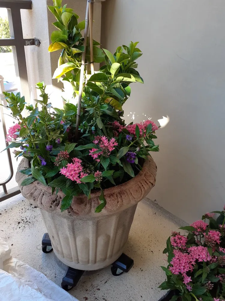 Reliable garden landscaping for year-round maintenance across Azusa, CA - OLM Landscape Maintenance