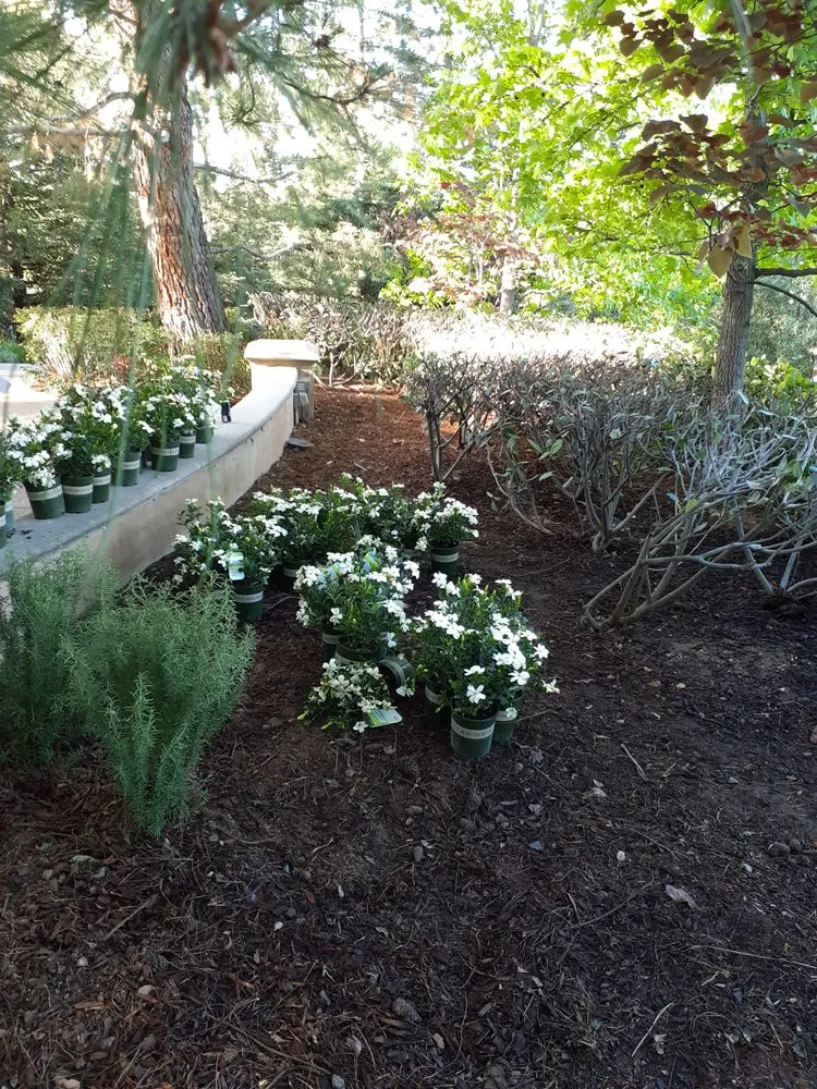 Affordable yard maintenance in Azusa, CA - OLM Landscape Maintenance