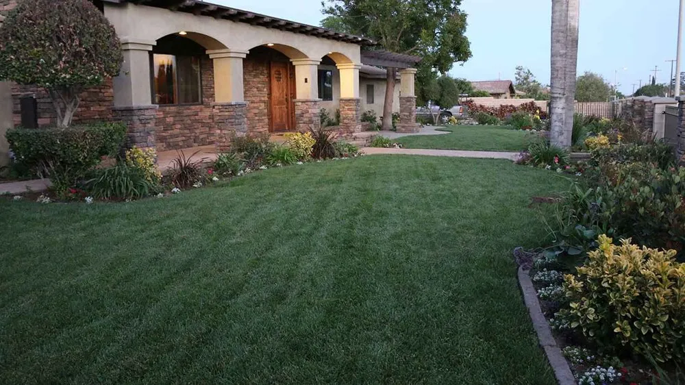 Trusted landscape design in Sylmar, CA - Olmos Landscape