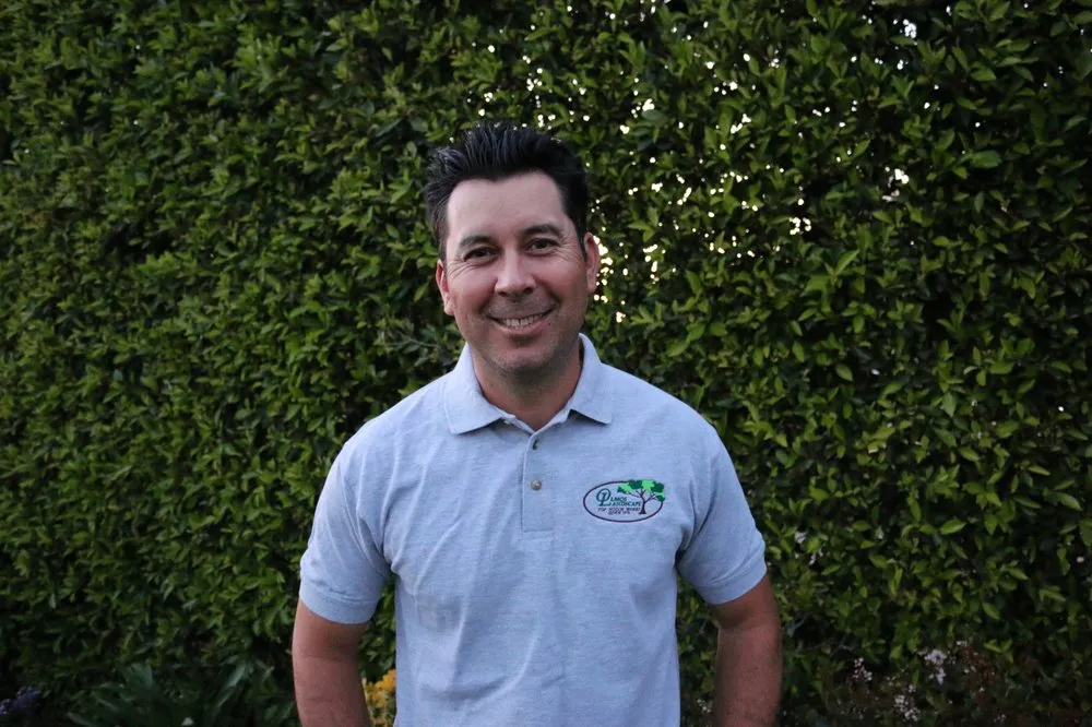 Custom landscape design in Sylmar, CA - Olmos Landscape