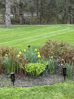 Olmsted Landscaping