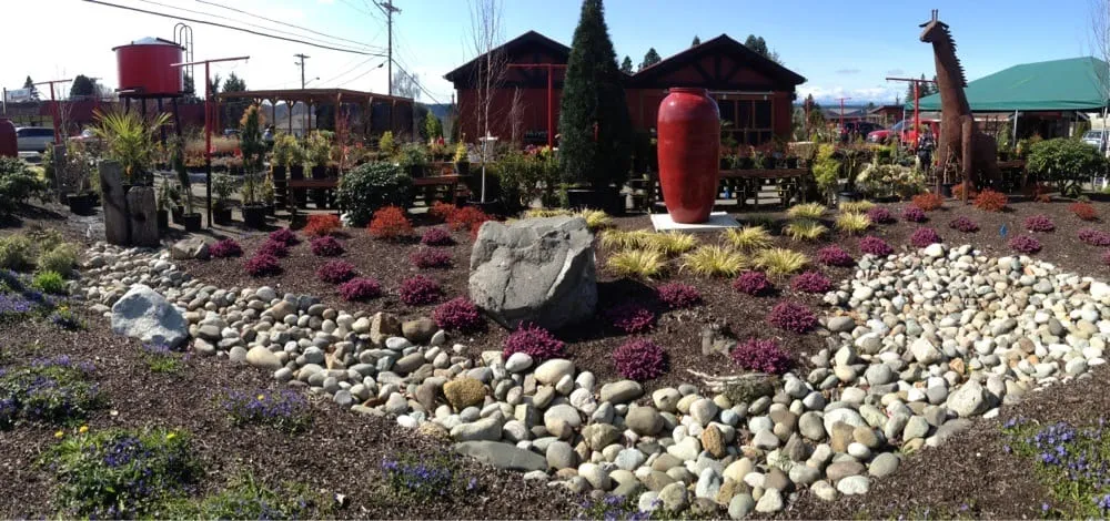 Local yard maintenance experts serving Poulsbo, WA - Olmsted's Nursery