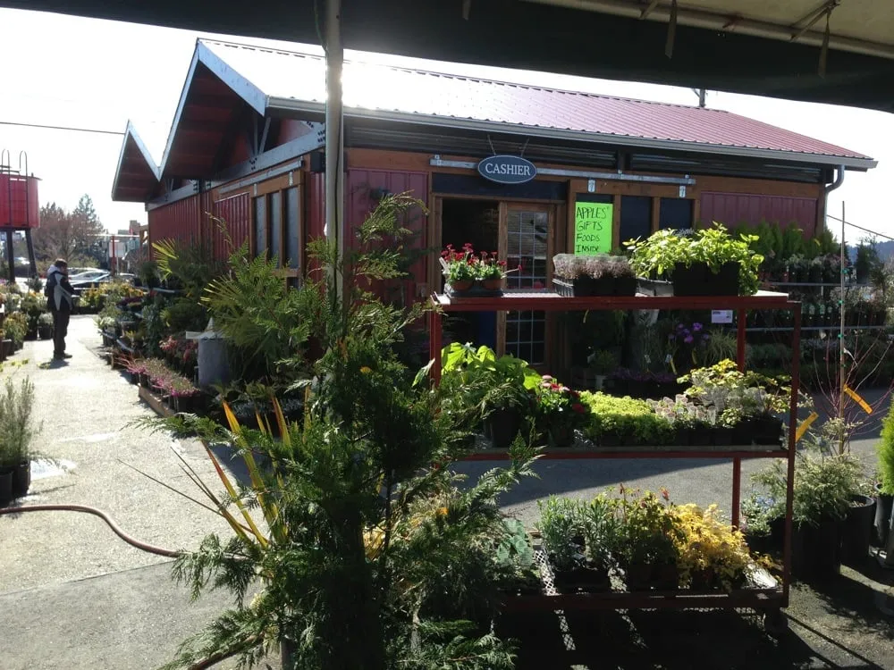 Reliable yard maintenance for residential properties in Poulsbo, WA by Olmsted's Nursery