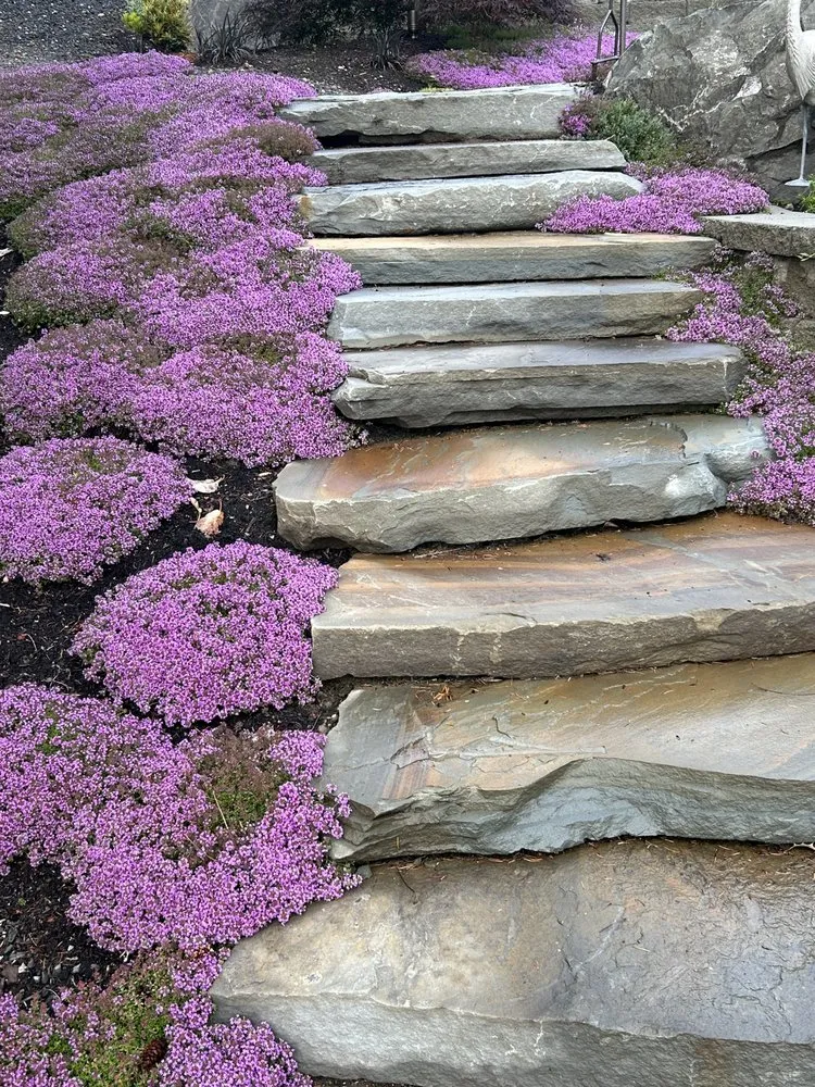 Local residential landscaping near you in Poulsbo, WA by Olmsted's Nursery