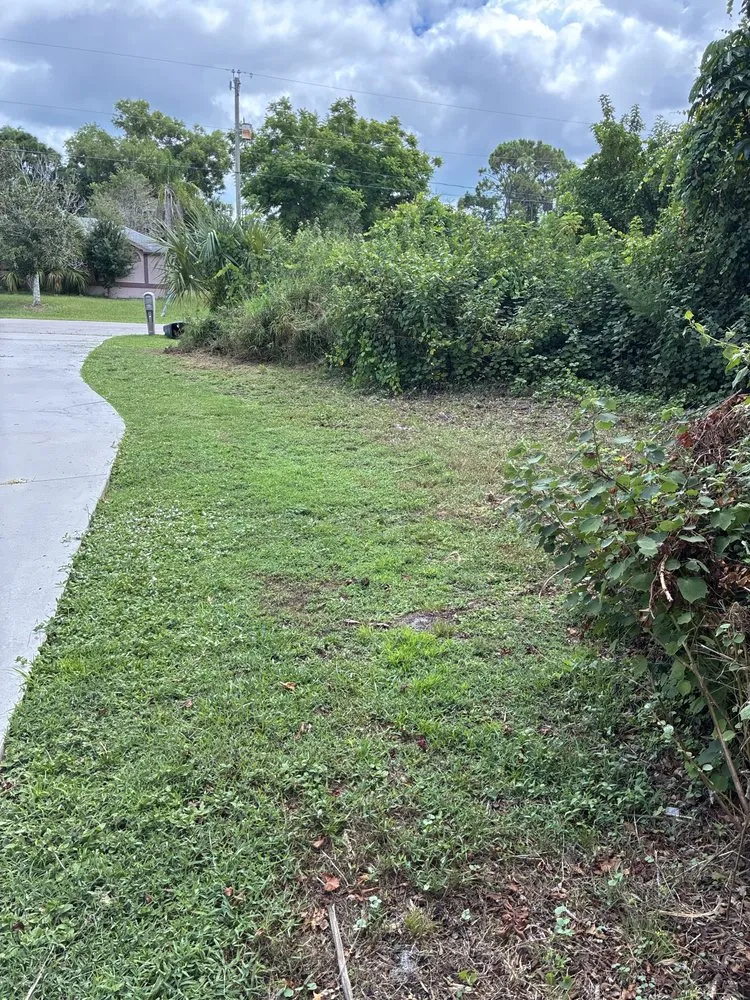 Professional yard maintenance for residential properties in Port St. Lucie, FL by Olo Pack Landscaping