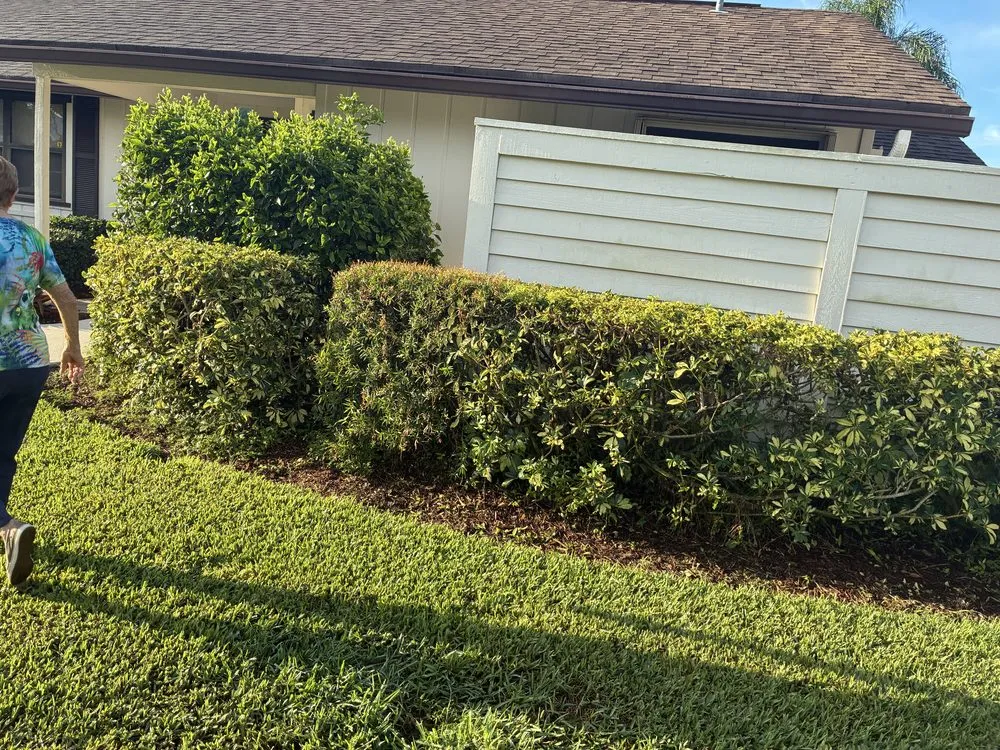 Affordable outdoor landscaping experts serving Port St. Lucie, FL - Olo Pack Landscaping