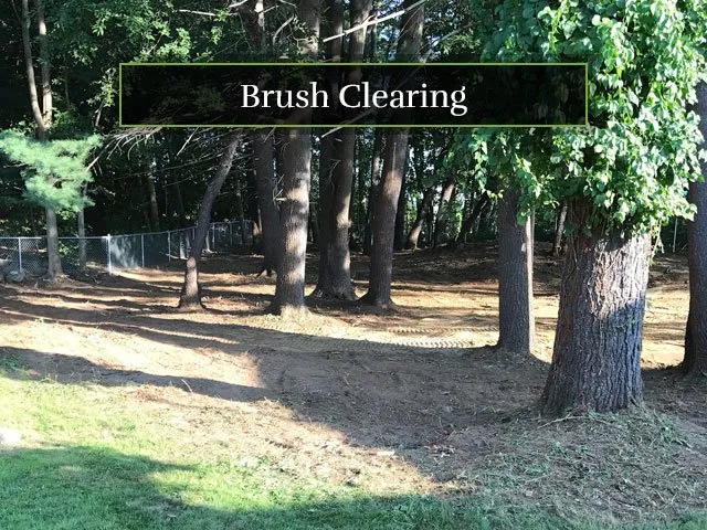 Local outdoor landscaping experts serving Brentwood, NH - Olofson Landworks