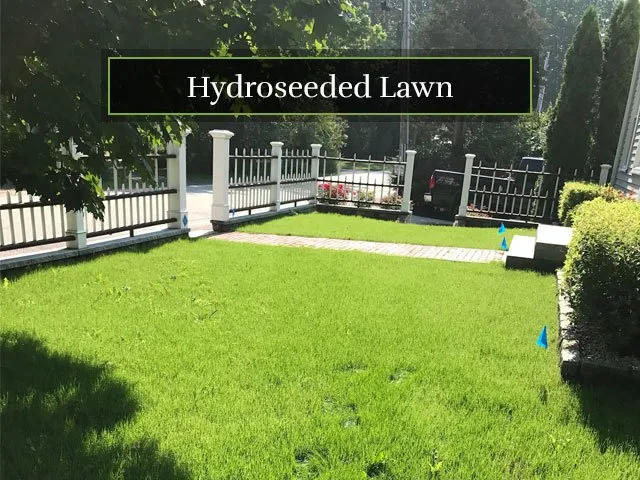 Custom yard cleanup service for year-round maintenance across Brentwood, NH - Olofson Landworks