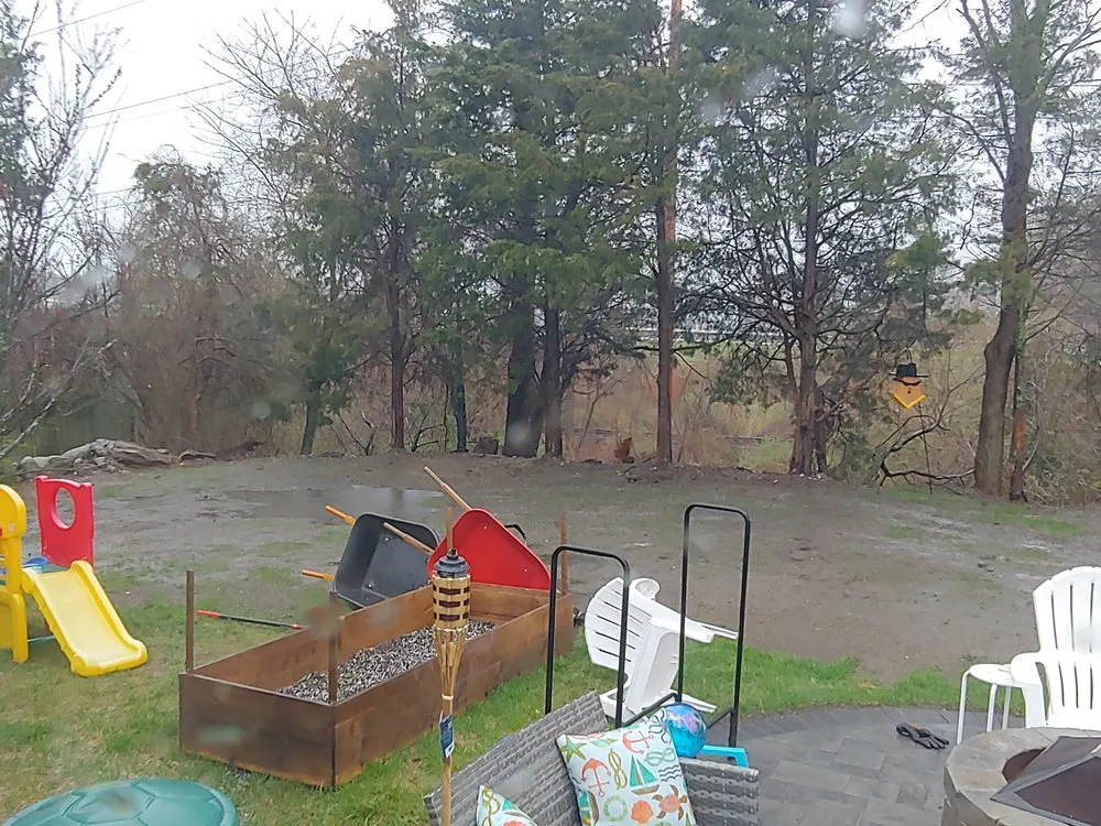 Affordable garden landscaping for year-round maintenance across Newport, RI - O'Loughlin Landscaping