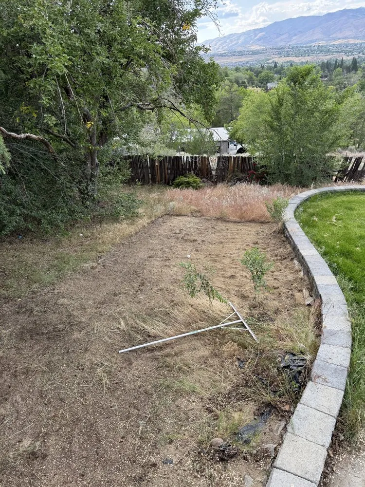 Custom residential landscaping in Reno, NV by Olsen Outdoor Services