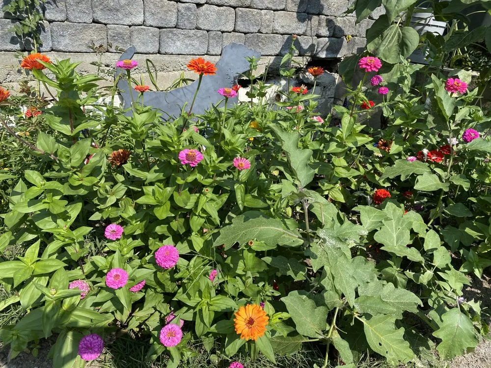 Top-rated garden landscaping experts serving Greenwood Lake, NY - Olsen's Landscaping & Tree Service