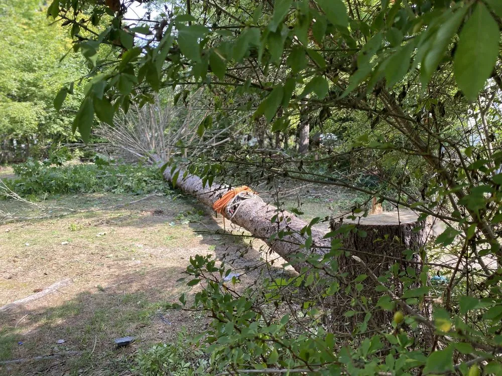 Professional landscape design in Greenwood Lake, NY - Olsen's Landscaping & Tree Service