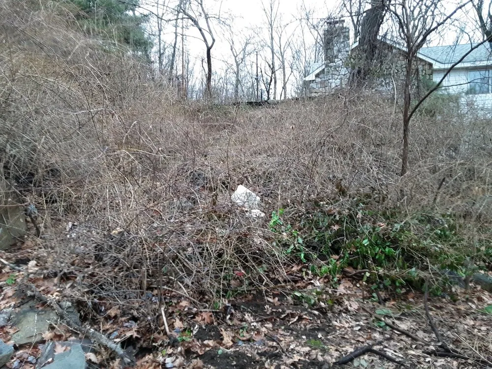 Trusted lawn mowing service for outdoor upgrades across Greenwood Lake, NY - Olsen's Landscaping & Tree Service