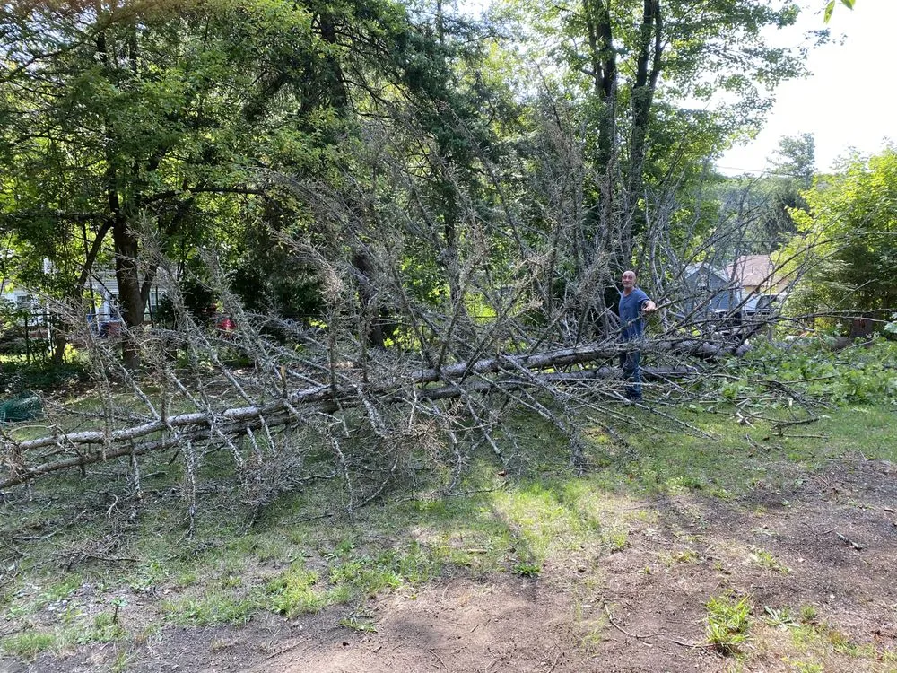 Custom landscape design for homes in Greenwood Lake, NY by Olsen's Landscaping & Tree Service