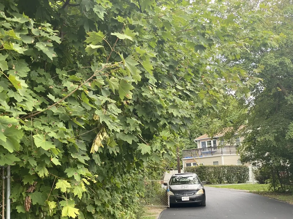 Affordable residential landscaping in Greenwood Lake, NY by Olsen's Landscaping & Tree Service