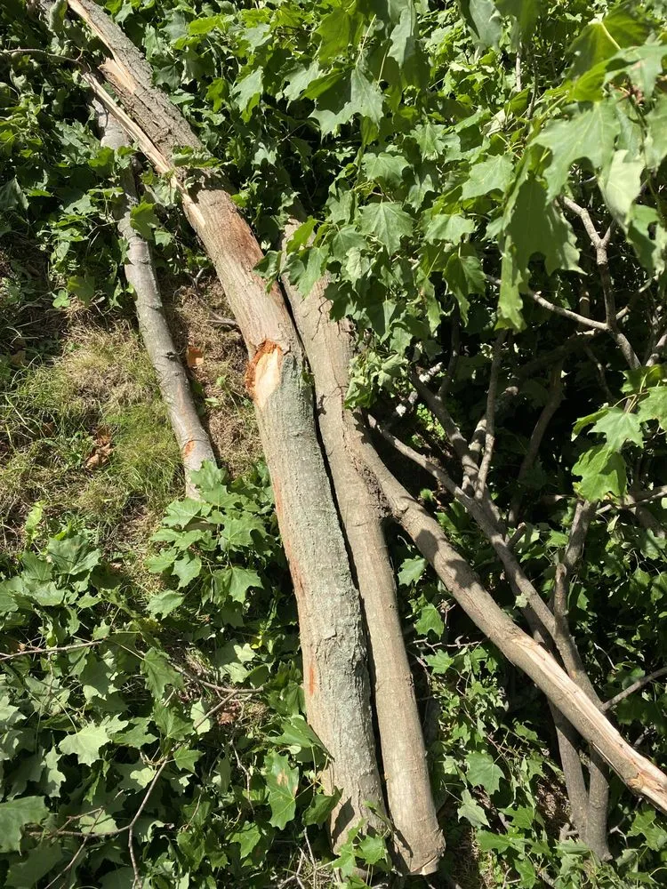 Custom residential landscaping in Greenwood Lake, NY by Olsen's Landscaping & Tree Service