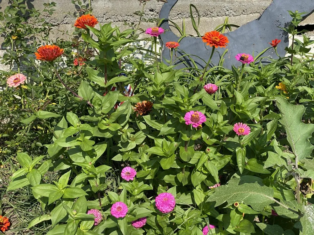 Local garden landscaping near you across Greenwood Lake, NY - Olsen's Landscaping & Tree Service