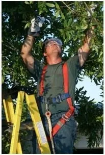 Custom landscaping services in Hightstown, NJ - Olsen's Lawn & Landscaping