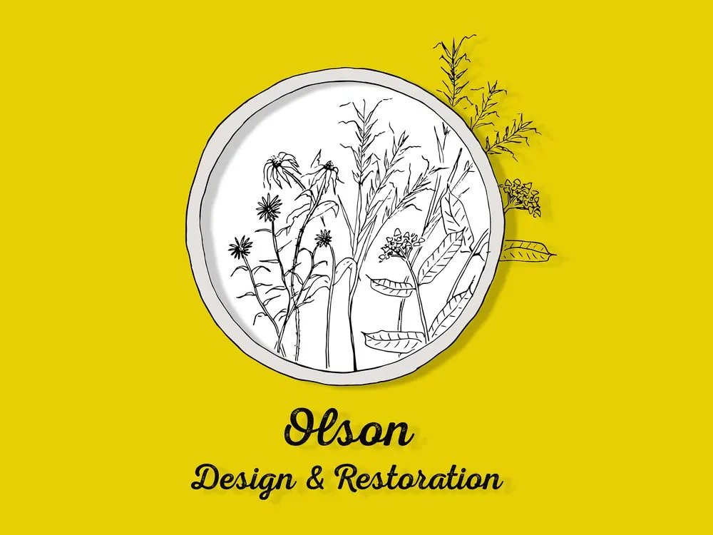 Reliable lawn care service in Buffalo, NY by Olson Design & Restoration