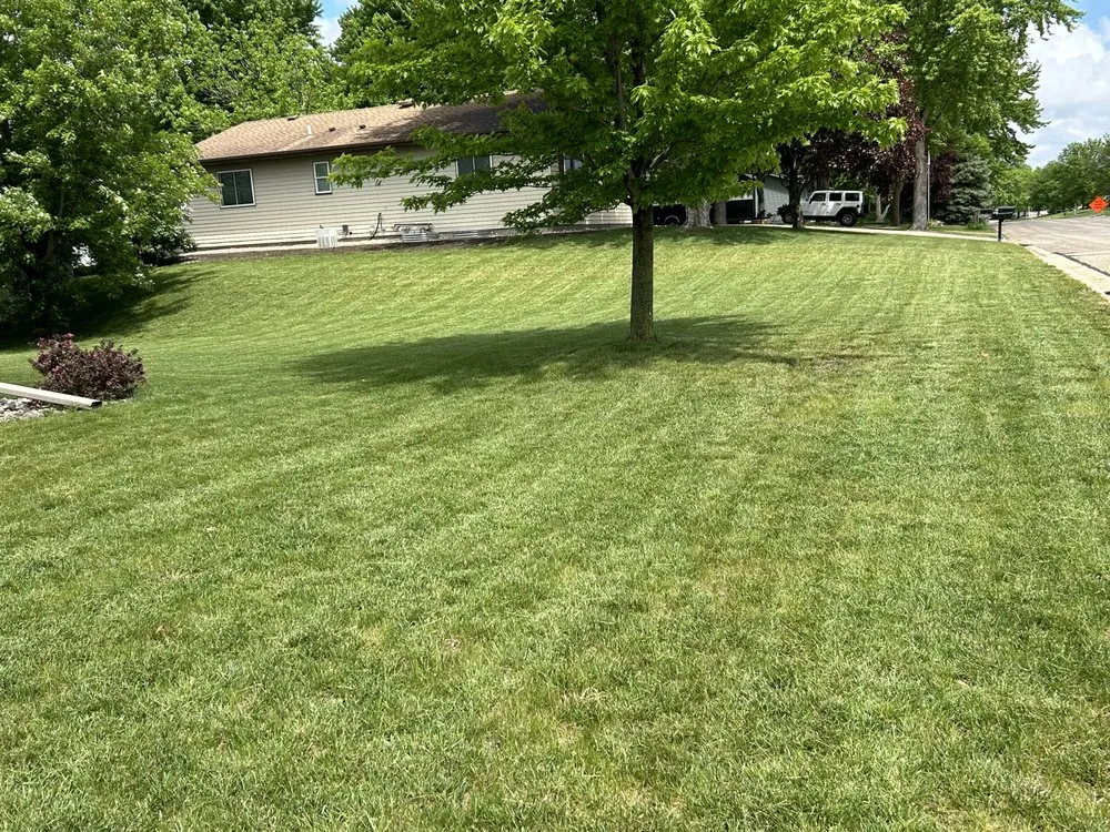Custom landscaping services for year-round maintenance across Annandale, MN - Olson Flatworks