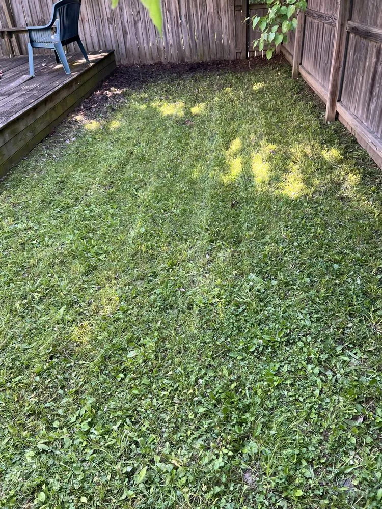 Affordable landscape design in Indianapolis, IN by Olson Landscaping