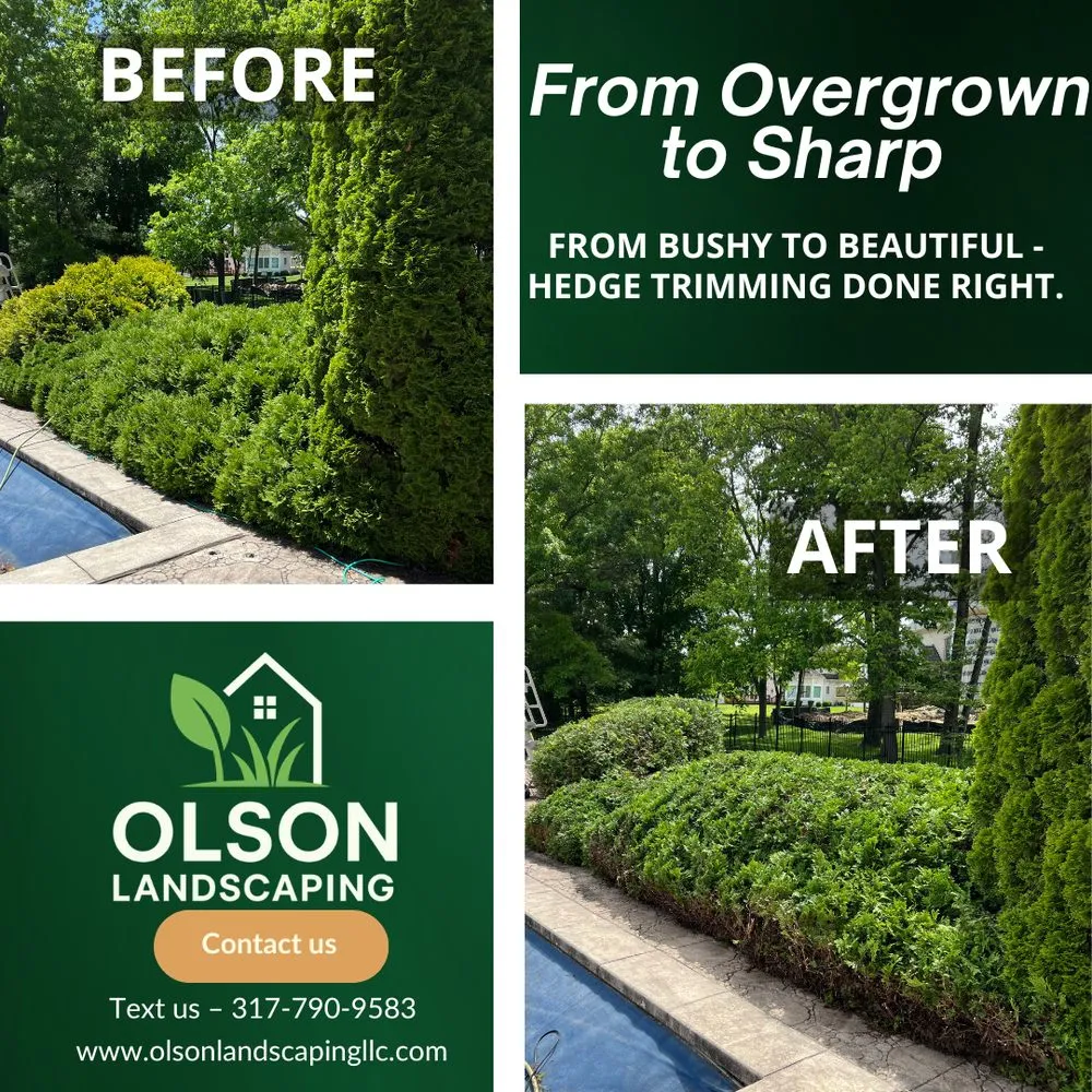 Top-rated yard cleanup service for outdoor upgrades in Indianapolis, IN by Olson Landscaping