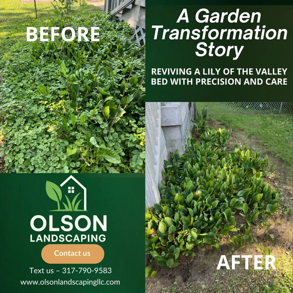 Trusted outdoor landscaping in Indianapolis, IN - Olson Landscaping