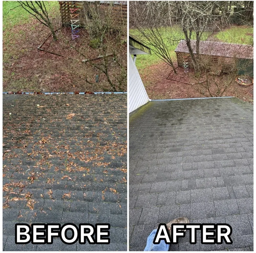 Expert yard maintenance experts serving Marysville, WA - Olson Landscaping