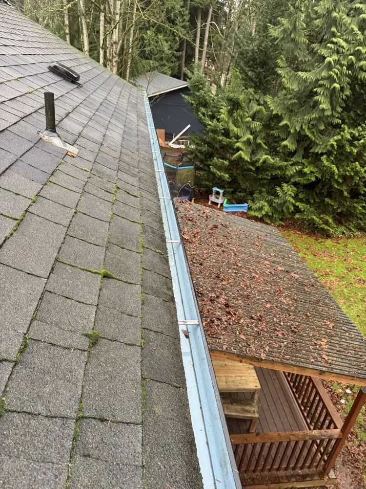 Professional yard maintenance experts serving Marysville, WA - Olson Landscaping