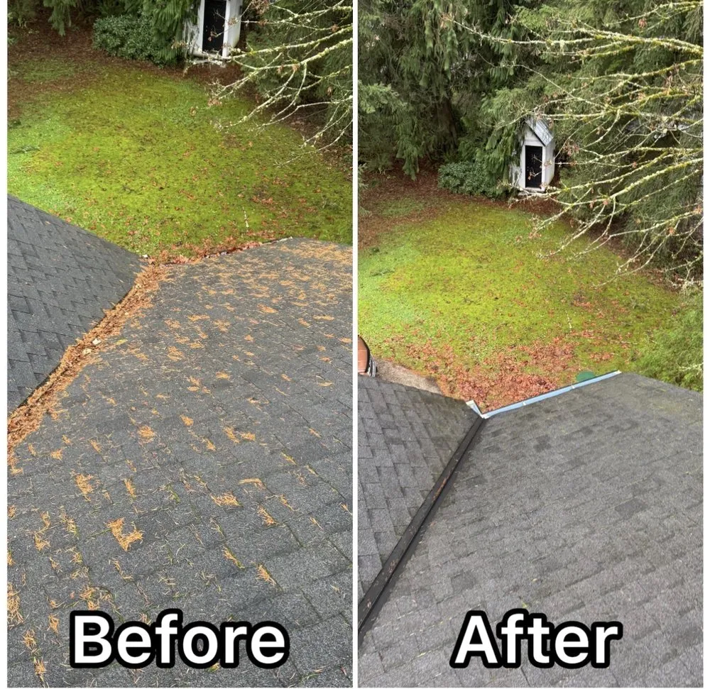Custom yard cleanup service for homes in Marysville, WA by Olson Landscaping