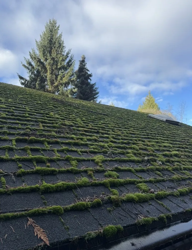 Trusted lawn mowing service in Marysville, WA by Olson Landscaping